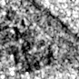 Radar view of applied-digital-delta-forge-1, 2026-10-14 (Sentinel-1 (radar))