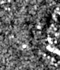 Radar view of core-scientific-austin-data-center-asdc, 2026-10-17 (Sentinel-1 (radar))