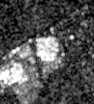 Radar view of marathon-digital-granbury, 2026-10-17 (Sentinel-1 (radar))