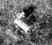 Radar view of riot-corsicana, 2026-10-12 (Sentinel-1 (radar))
