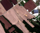 Visual view of terawulf-justified-data, 2026-10-13 (Sentinel-2)